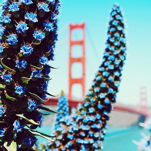 Instagram of Jordan Herschel FREEYORK