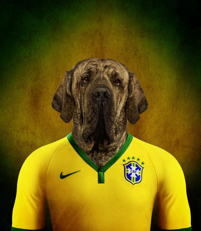 sobaki-i-futbol-12
