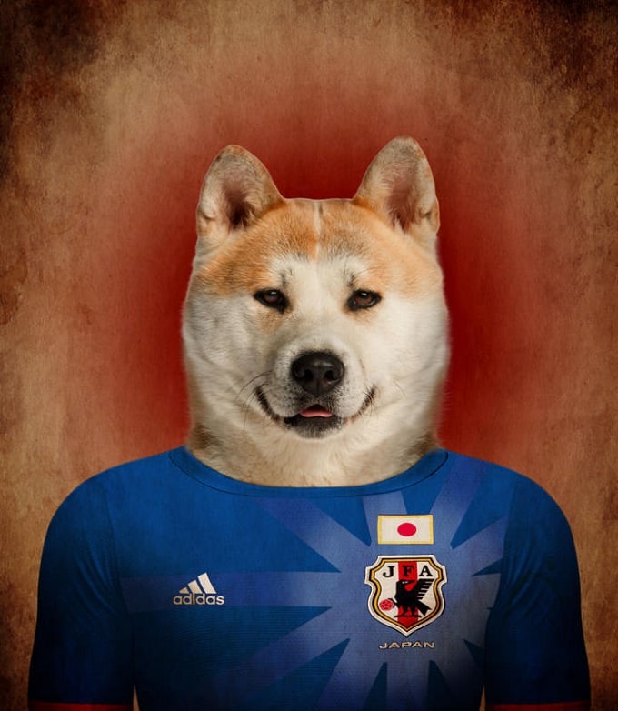 sobaki-i-futbol-13