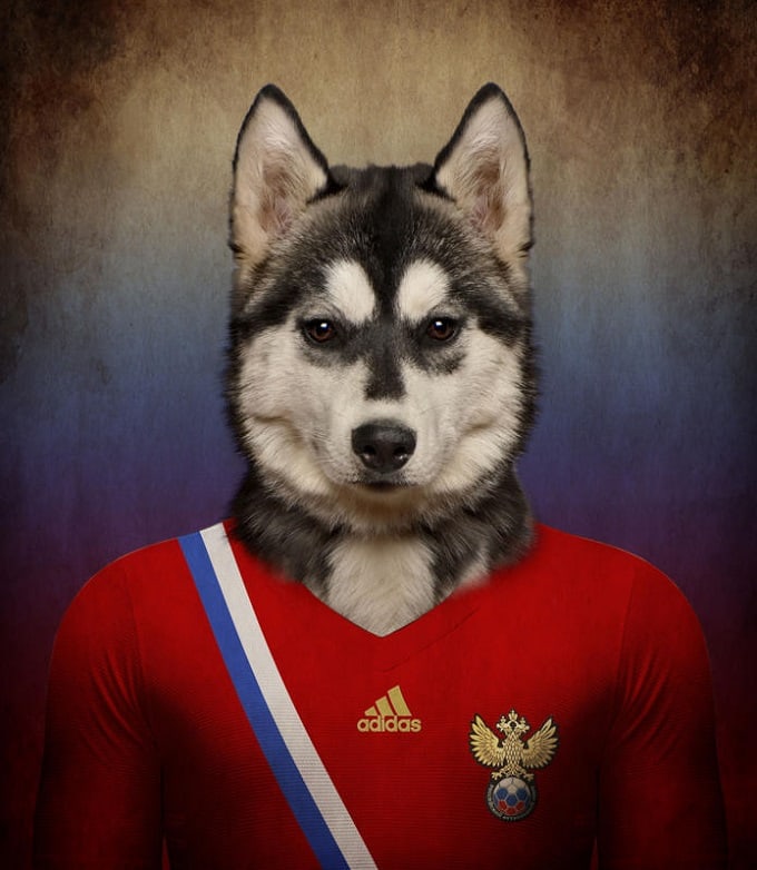 sobaki-i-futbol-4