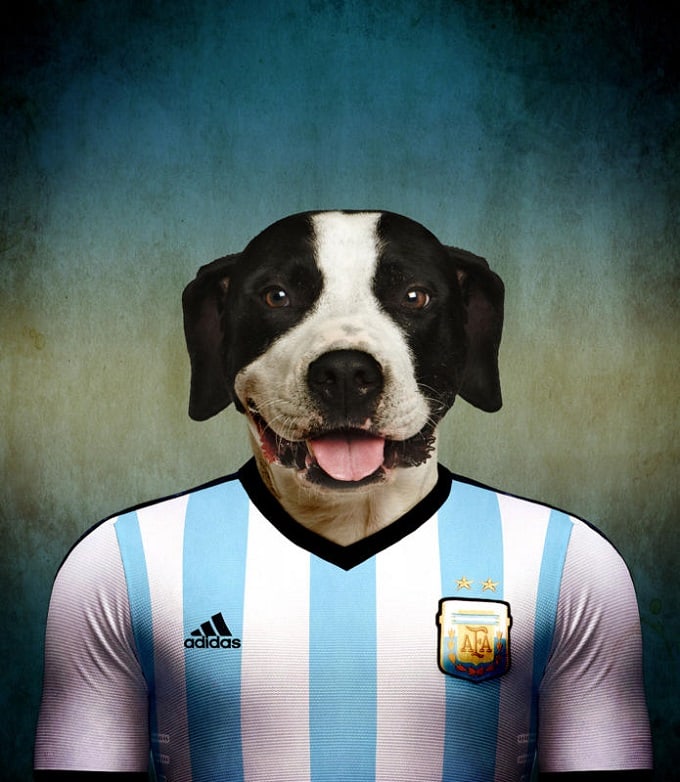 sobaki-i-futbol-7