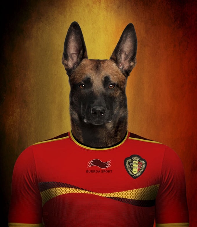 sobaki-i-futbol-8