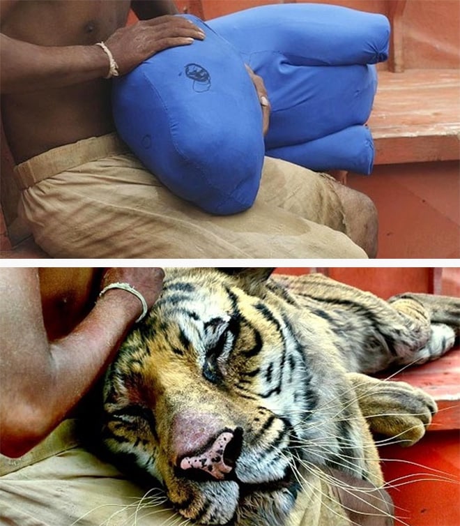 Visual Effects BeforeAndAfter from your favorite Movies and TV Series