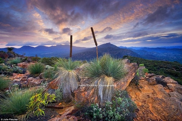 beautiful nature landscapes by julie fletcher