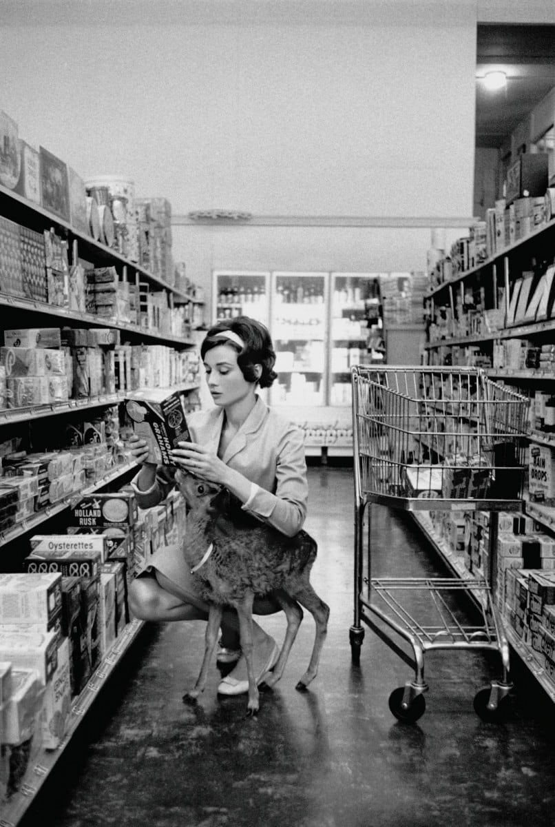 Audrey Hepburn shopping with her pet deer “Ip” in Beverly Hills, CA, 1958