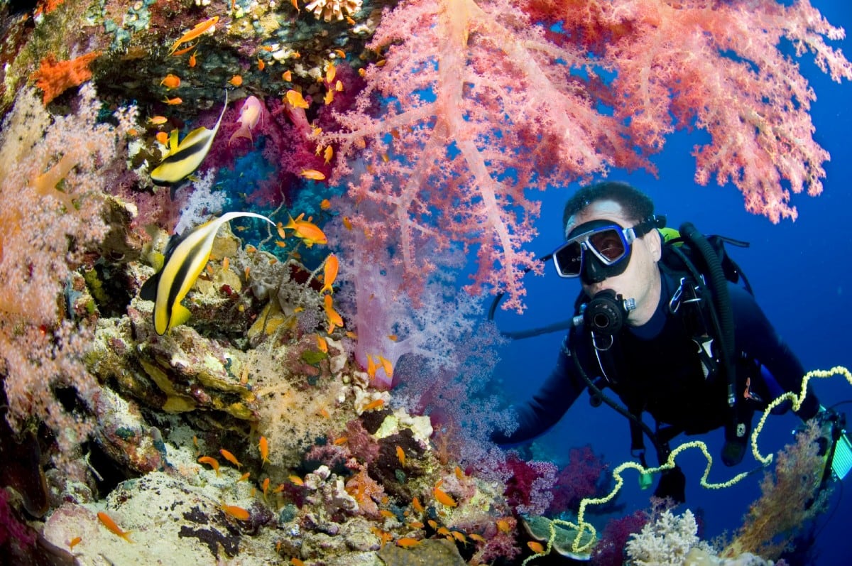 22 Best Scuba Diving Destinations in the World FREEYORK