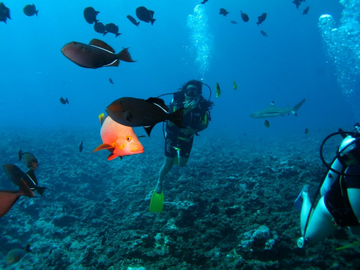 22 Best Scuba Diving Destinations In The World Freeyork 3378