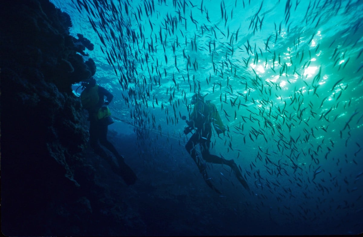 22 Best Scuba Diving Destinations in the World FREEYORK