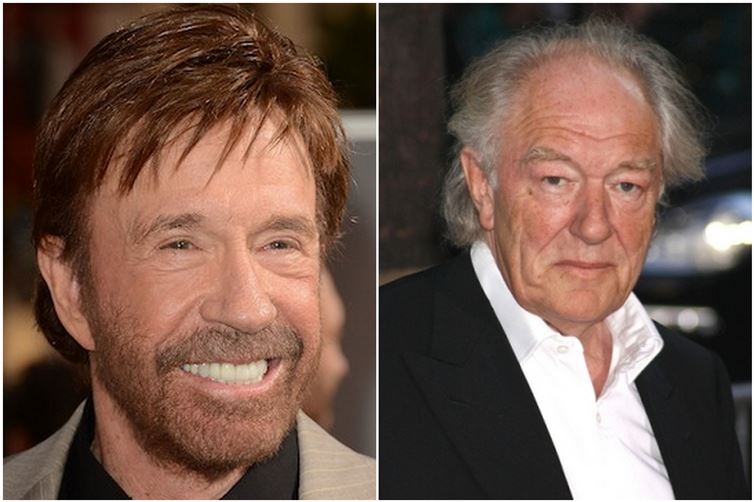 Chuck-Norris-and-Michael-Gambon-1940