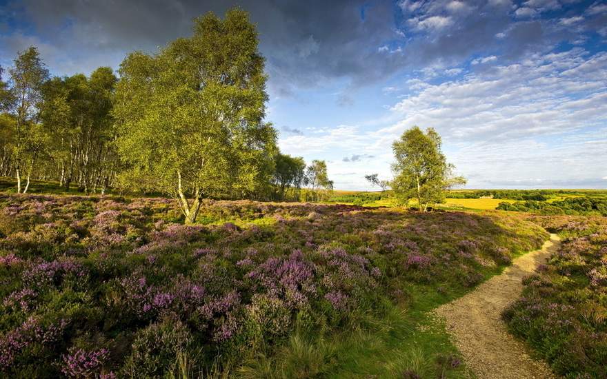 Top 20 Most Beautiful British Countryside Scenes FREEYORK