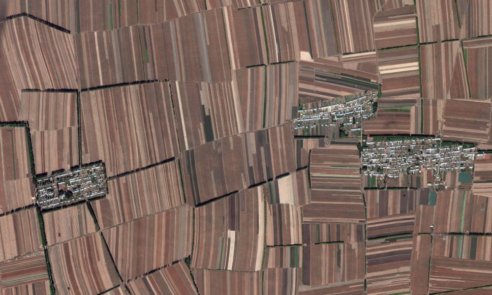 crop-production-china