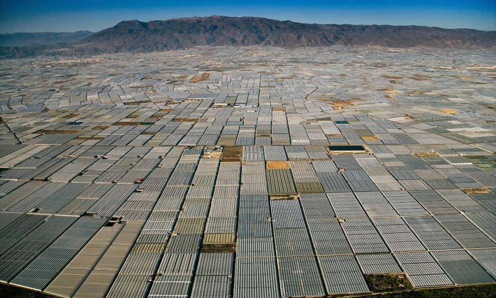 greenhouses-in-almeria-spain