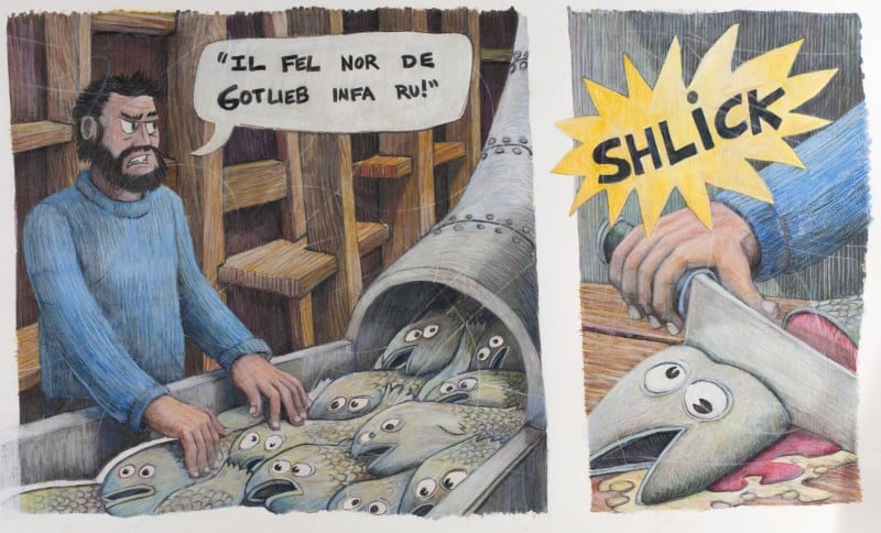 cannary