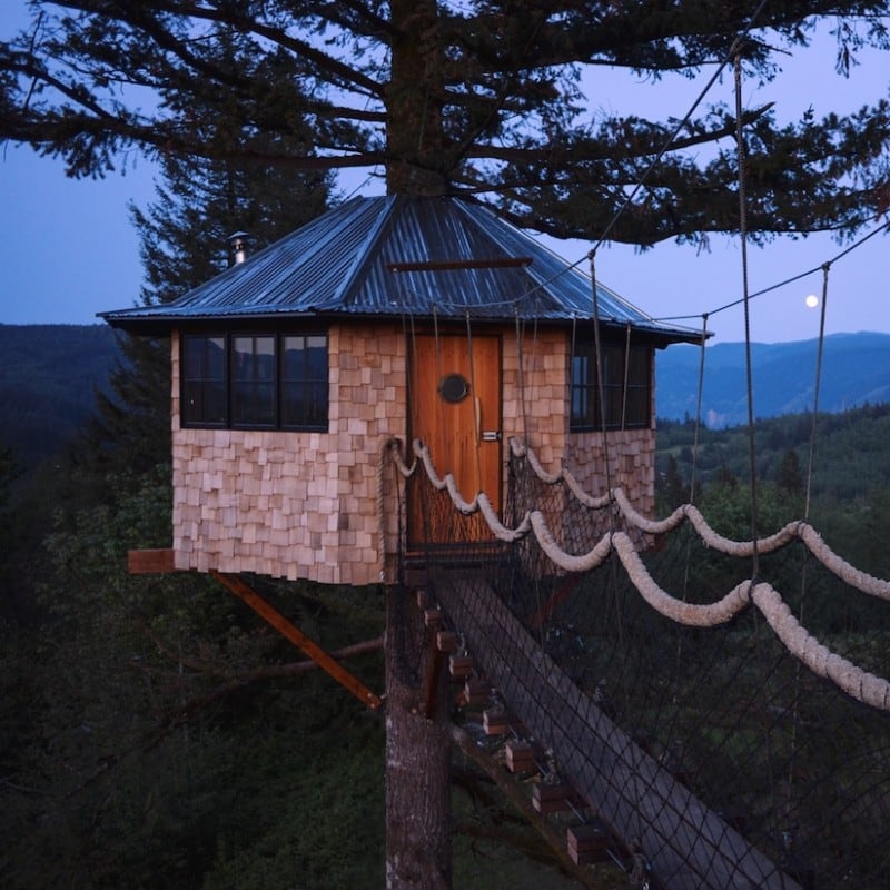cinder_cone_skate_treehouse_01