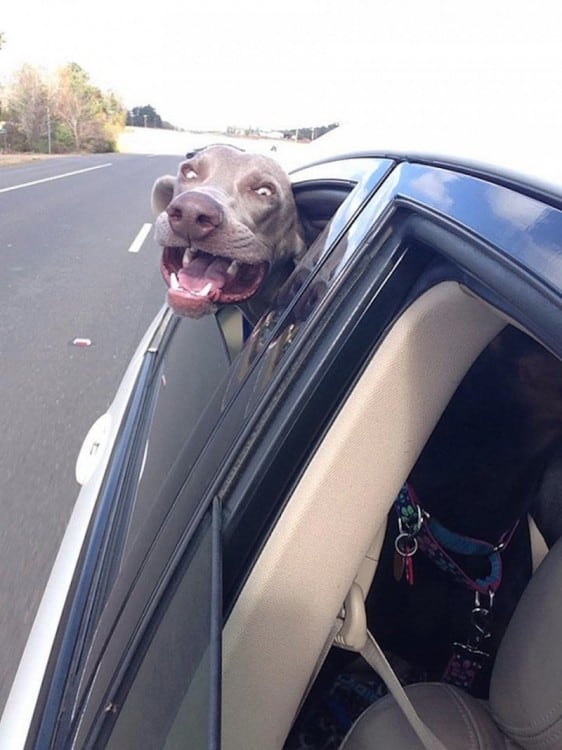 true happiness