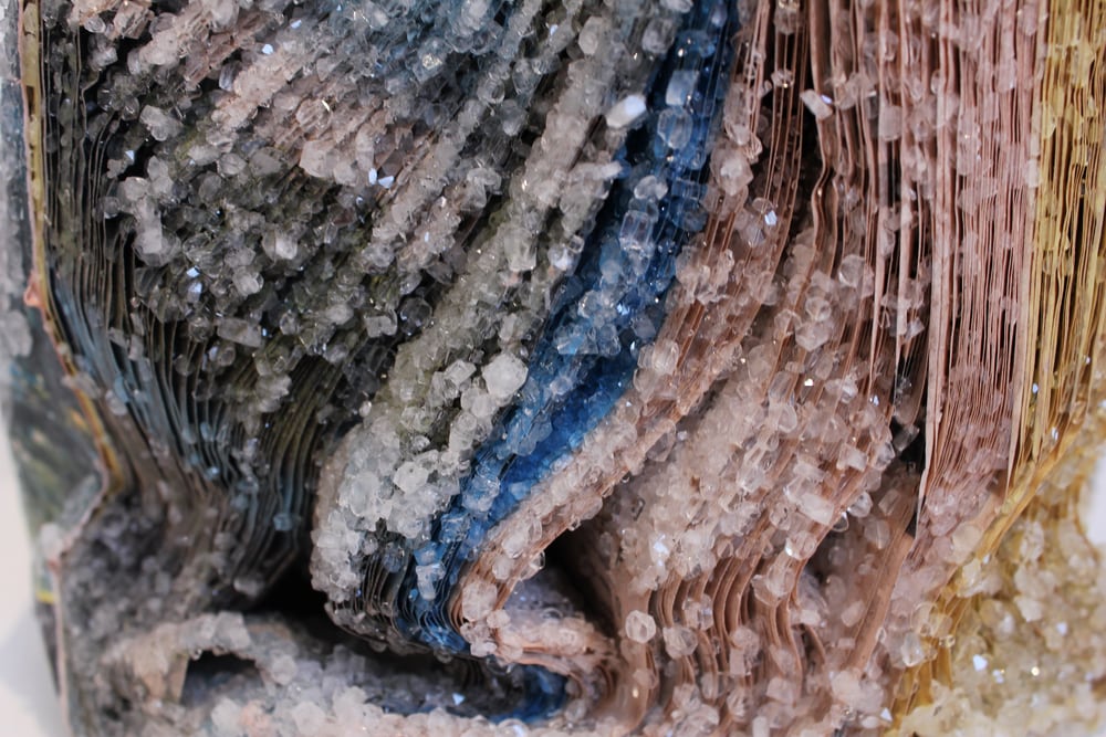 “National Geographic Magazines” detail (2013)