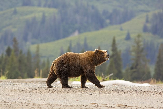 Lake Clark National Park