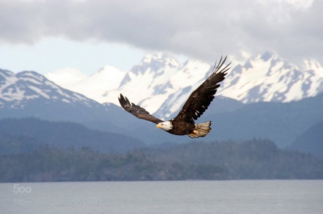 Homer, Alaska