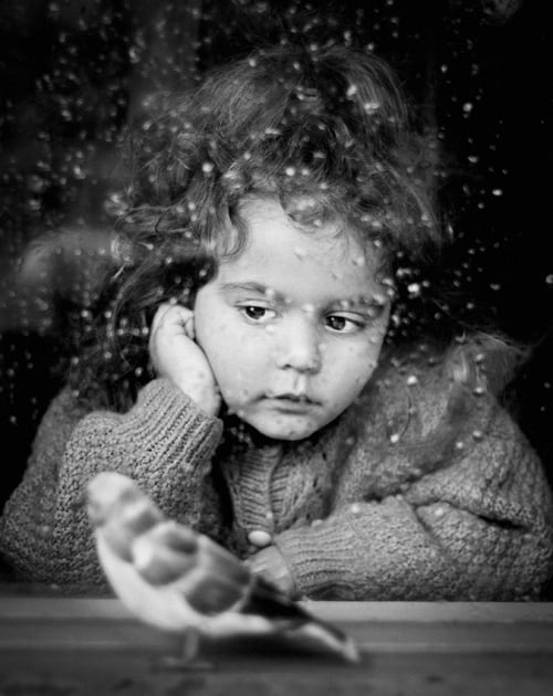 © Bill Gekas
