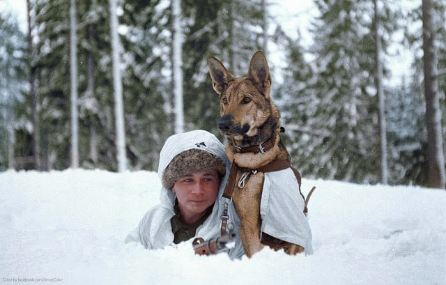 A Finnish soldier practices maneuvers in the winter snow at a military dog training school during the Finnish-Soviet Continuation War. Hämeenlinna, Finland. February 1941. (Source - SA-kuva. Colorized by Jared Enos)