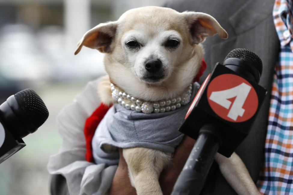 Image via Reuters