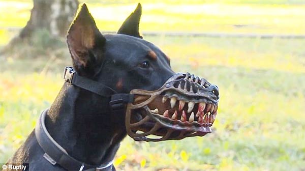 This Terrifying Dog Muzzle Will Transform Your Pooch Into A Frightening ...