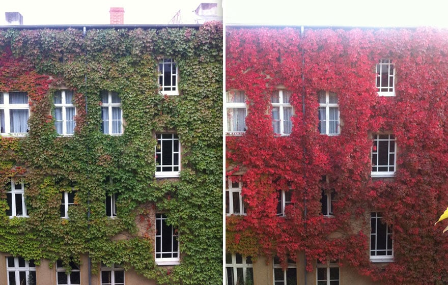 Apartment Building Facade