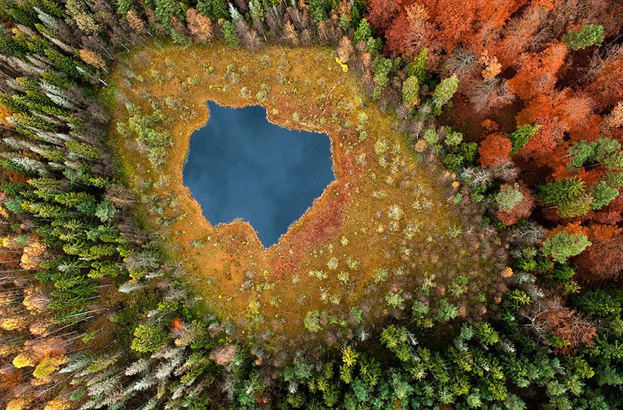 Forest Lake In Poland (1)