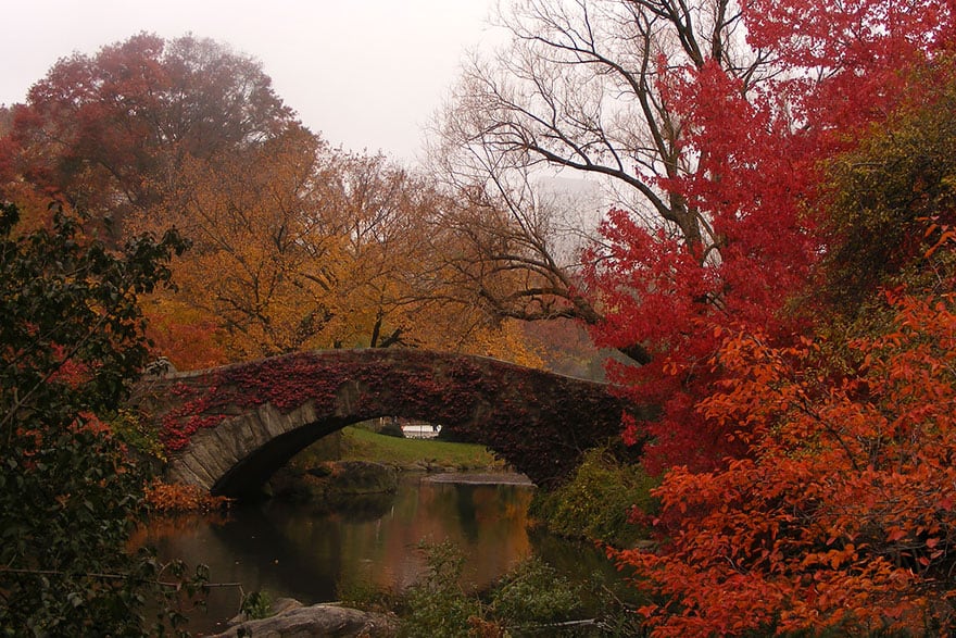 Gapstow Bridge, New York (1)
