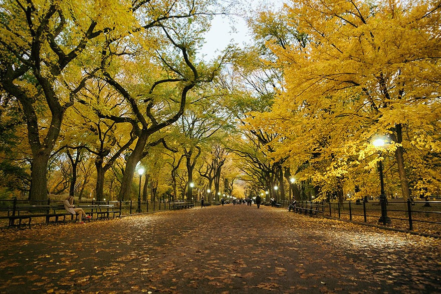 Poet’s Walk, Central Park (1)