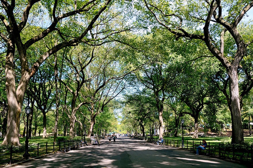 Poet’s Walk, Central Park