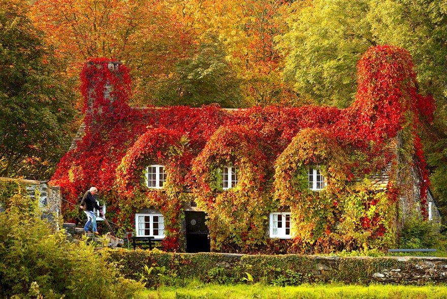 Tu Hwnt I’r Bont Tearoom in Llanrwst (1)