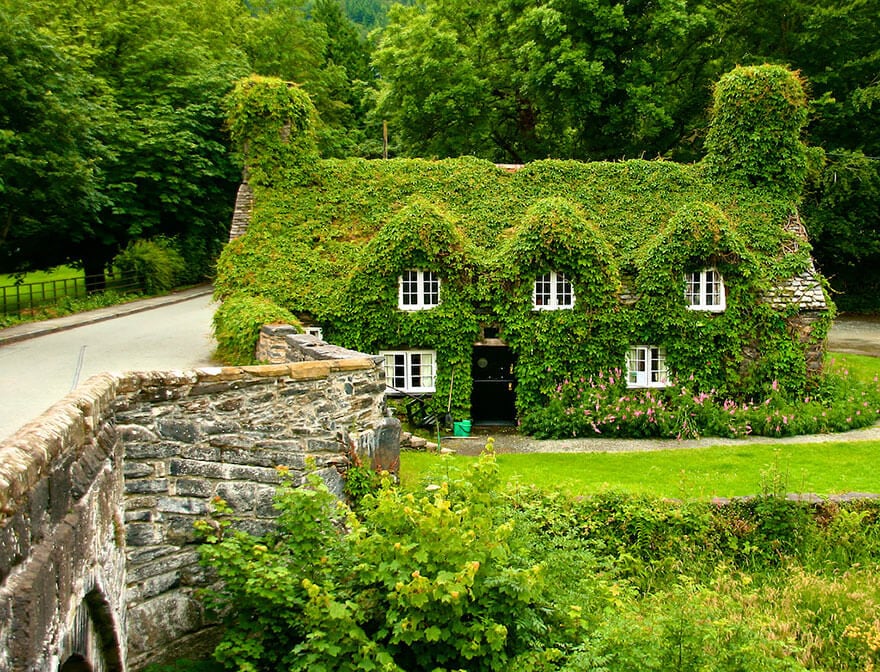 Tu Hwnt I’r Bont Tearoom in Llanrwst