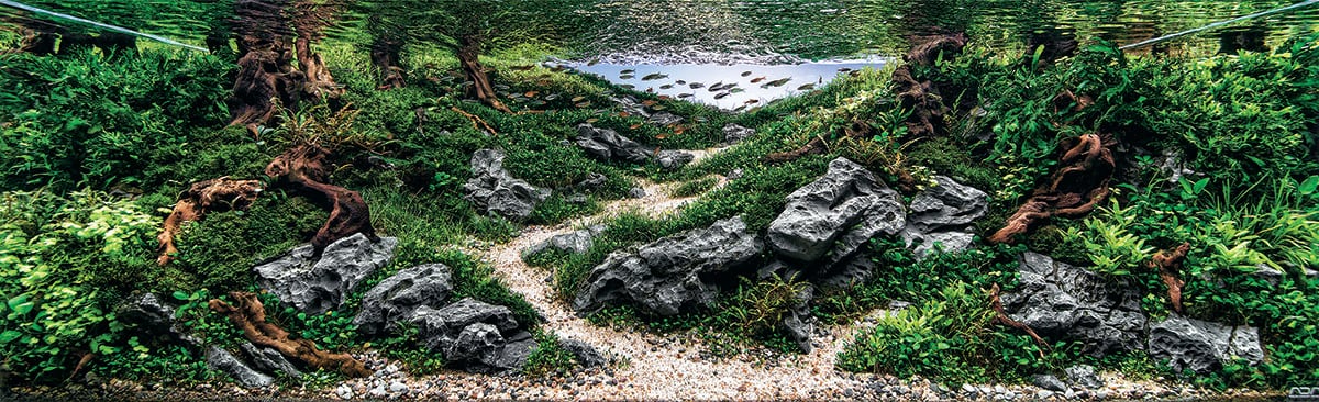 #4 Paulo Pacheco, Brazil / Courtesy IAPLC & Aquabase