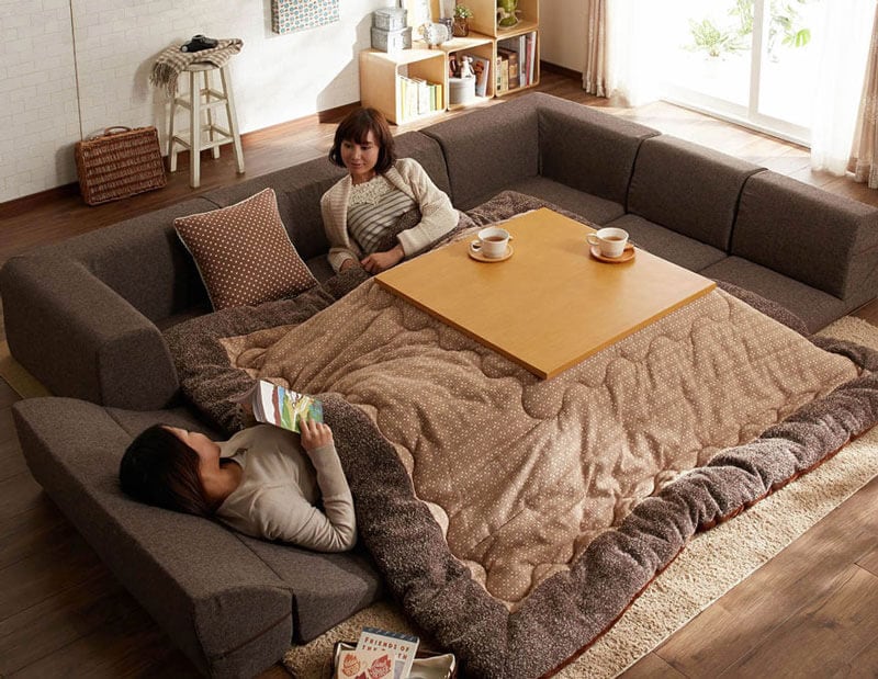Kotatsu-freeyork3