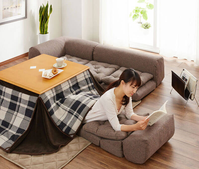 Kotatsu-freeyork4