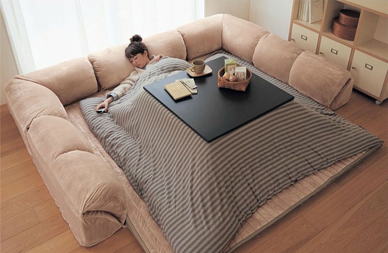 Kotatsu-freeyork6