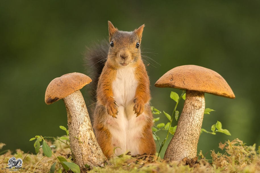 geert-weggen-freeyork-12