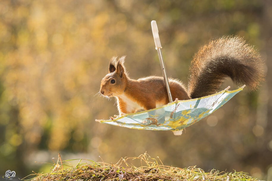 geert-weggen-freeyork-19