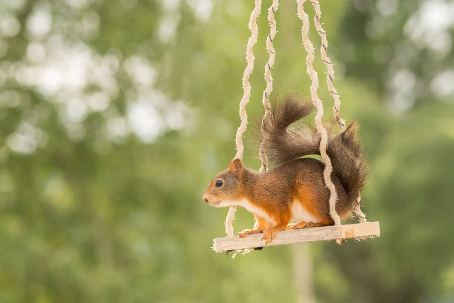 geert-weggen-freeyork-6