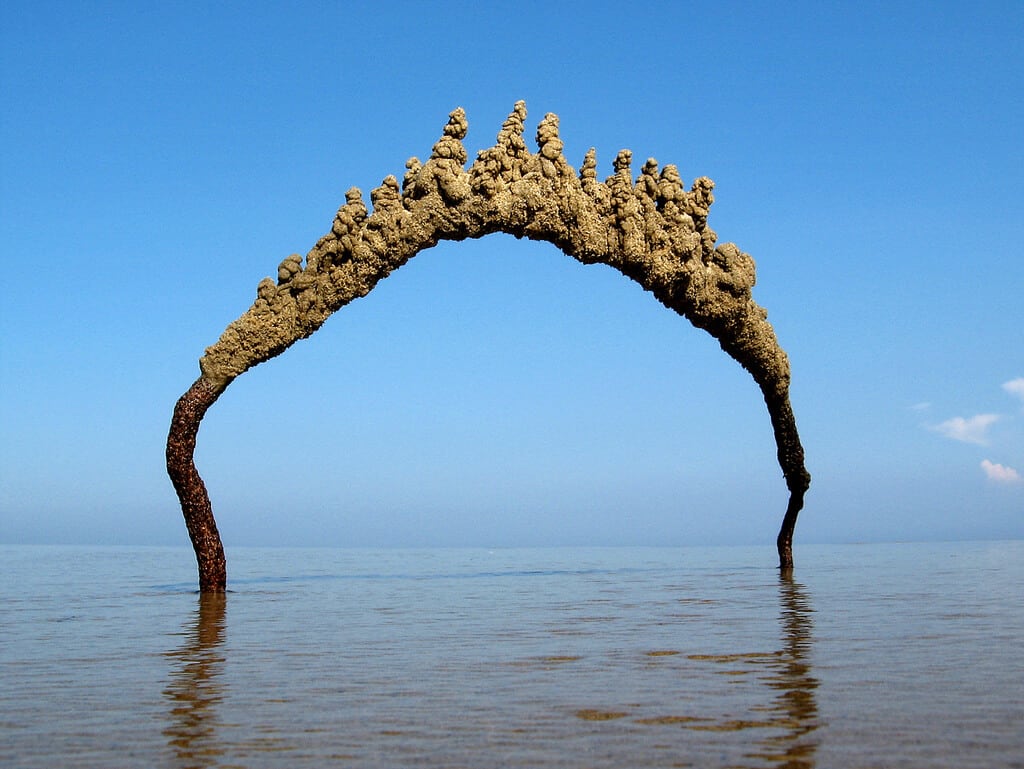 sandcastles-matt-kaliner-freeyork2