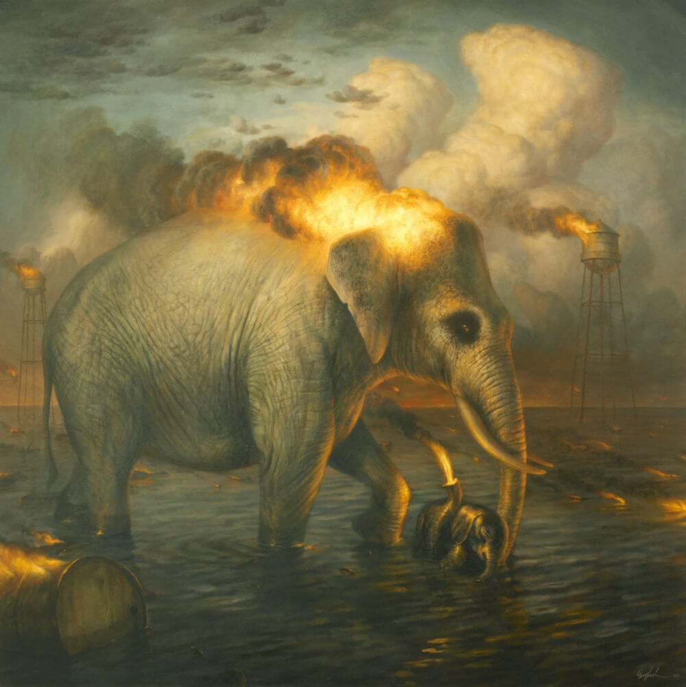 martin wittfooth fy8