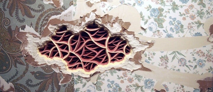 charles-clary-paper-art-fy-8