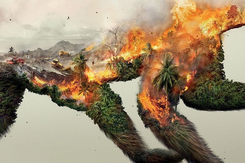 destroying-life-by-photoby-fy-5