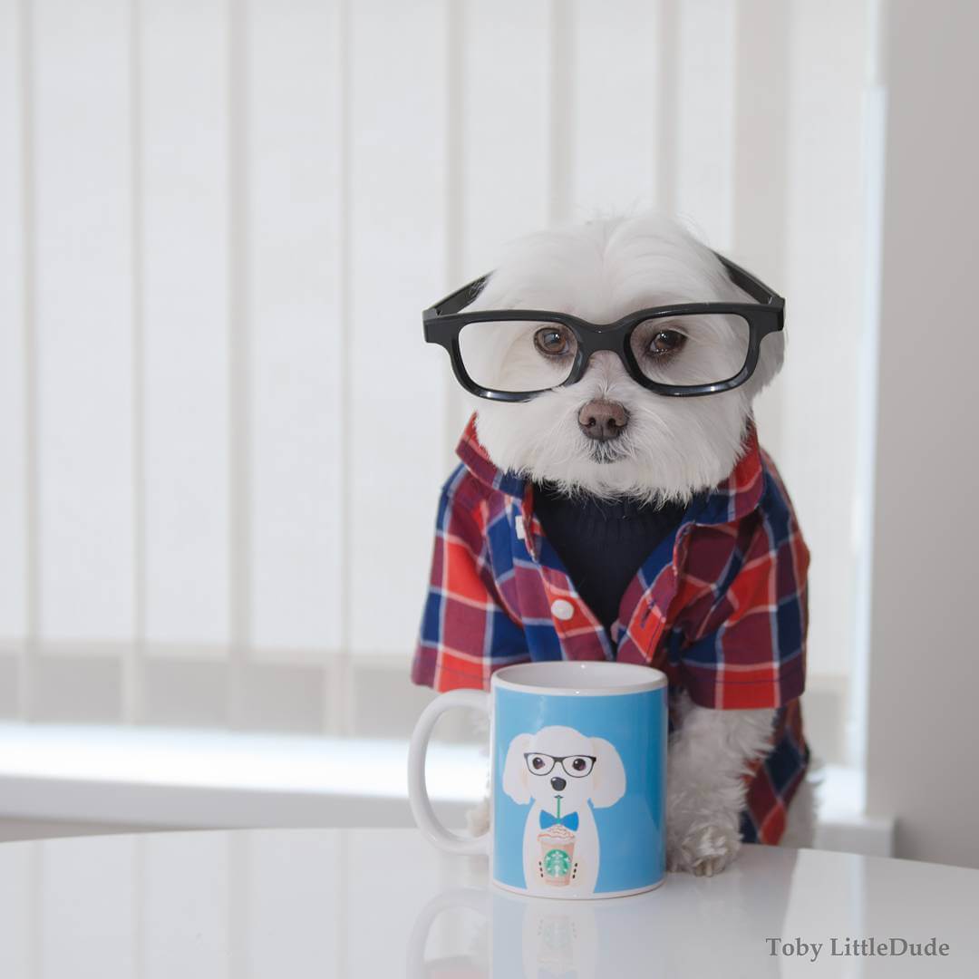 toby-littledude-fy-10