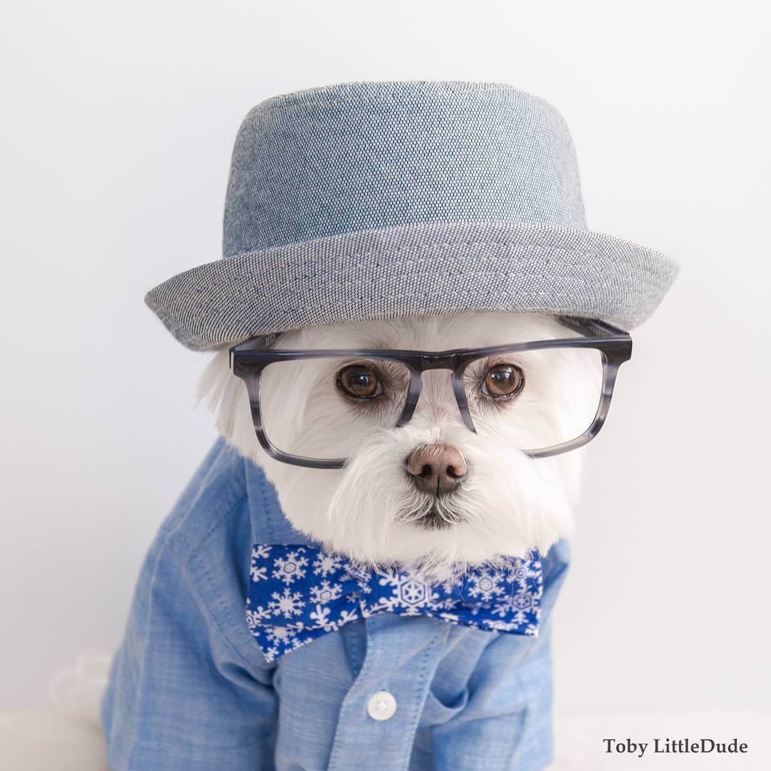 toby-littledude-fy-11