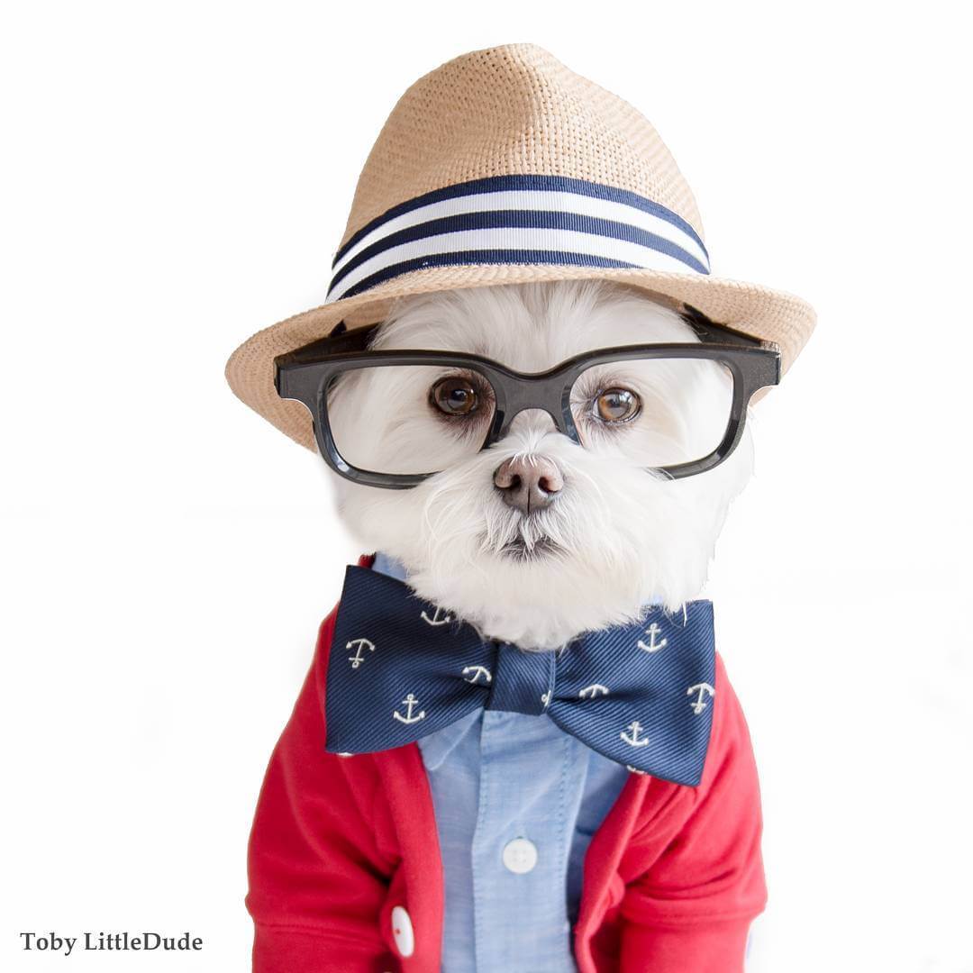 toby-littledude-fy-13