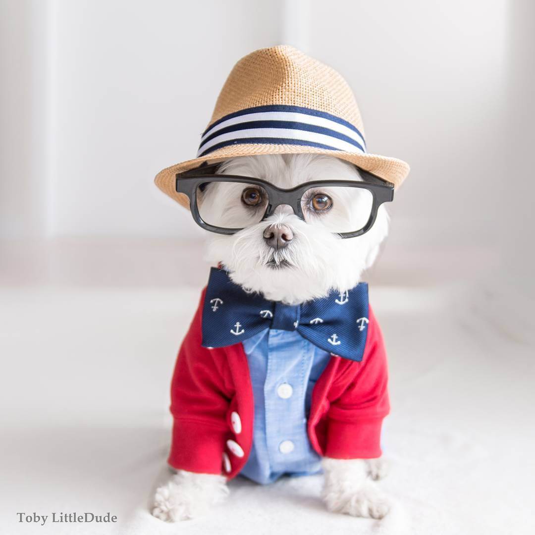 toby-littledude-fy-3