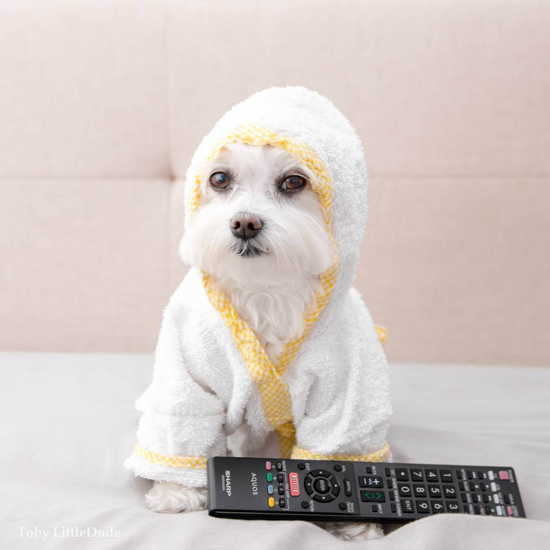 toby-littledude-fy-5