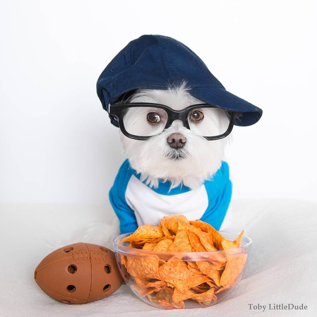 toby-littledude-fy-7